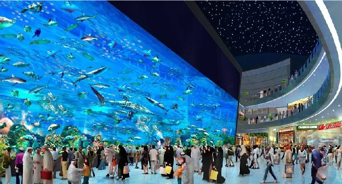 1593591824860635.jpg 幼图3迪拜购物中心水族馆.jpg