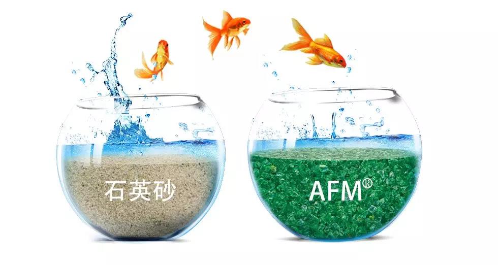摇钱树娱乐(中国区)有限公司官网