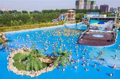摇钱树娱乐集团,摇钱树娱乐
