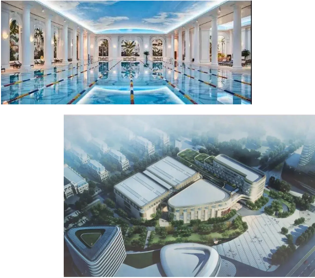 摇钱树娱乐泳池工程