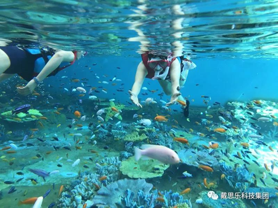 海洋浮潜馆，海洋馆设备