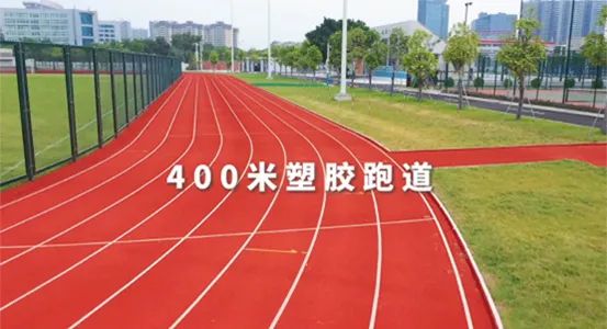 <b>确定啦！中山这几所学堂的中考游泳考点就在摇钱树娱乐游泳馆！</b>