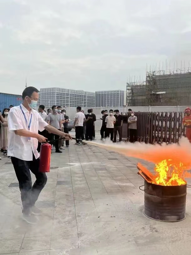 摇钱树娱乐,摇钱树娱乐集团