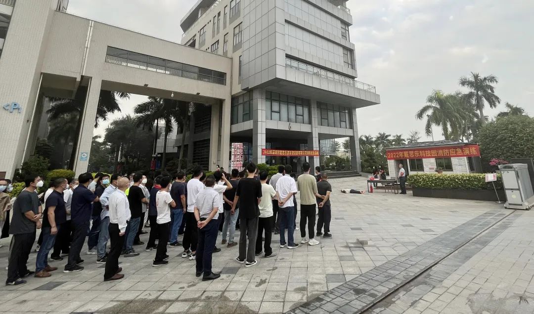 摇钱树娱乐,摇钱树娱乐集团