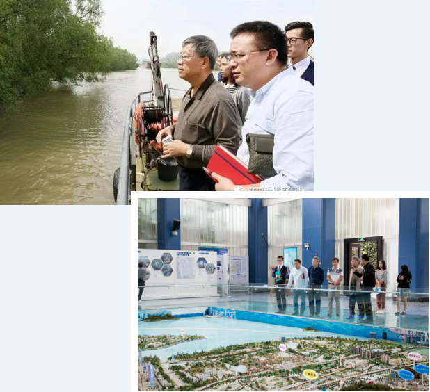 摇钱树娱乐湿地生态系统