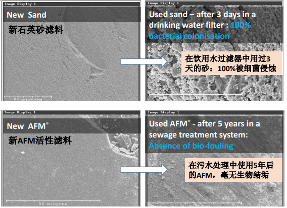 摇钱树娱乐(中国区)有限公司官网
