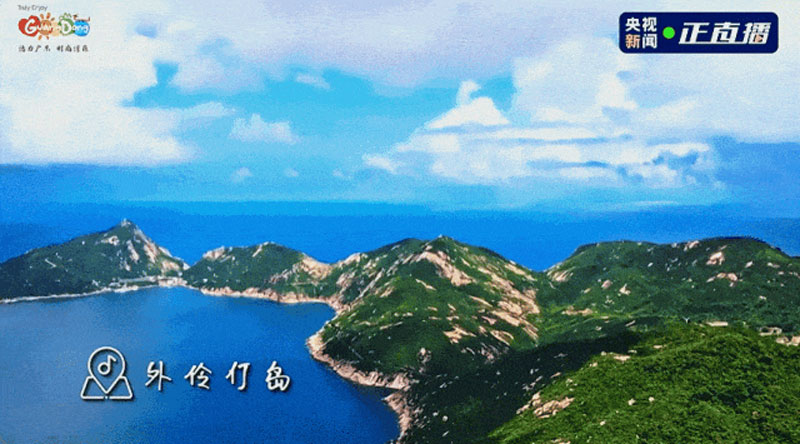 摇钱树娱乐(中国区)有限公司官网